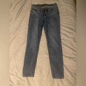 Judy Blue Skinny Jeans Size 1/25
